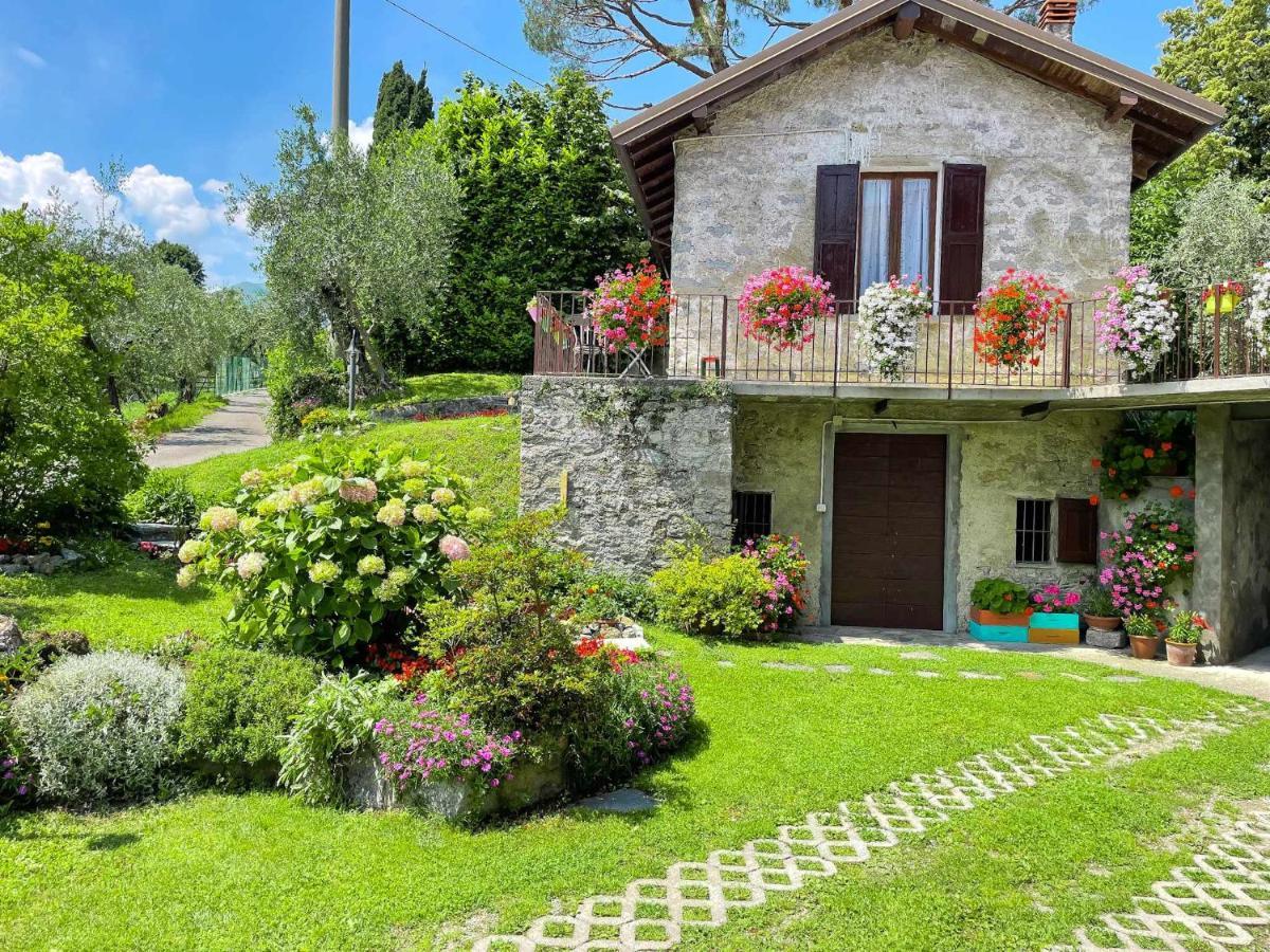 Breva Loft Tra Gli Ulivi Ed Il Lago 贝拉焦 外观 照片