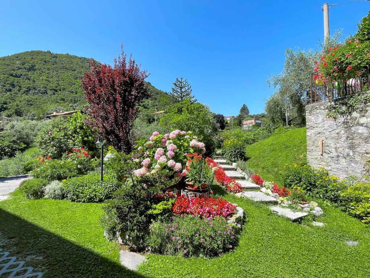 Breva Loft Tra Gli Ulivi Ed Il Lago 贝拉焦 外观 照片